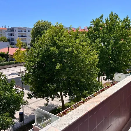 Lourenca - 1 *