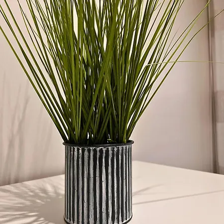 Lourenca - * Vila do Conde